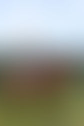 Why We Need to do a Better Job of Supporting Indigenous Entrepreneurs!