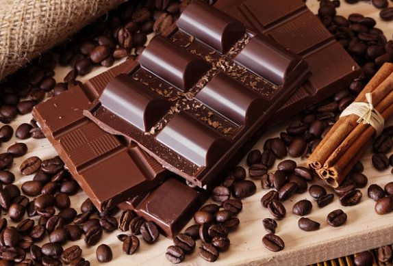 otrava pes, otrava kočka