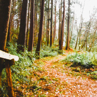 見晴らし台　展望はあいにく？	