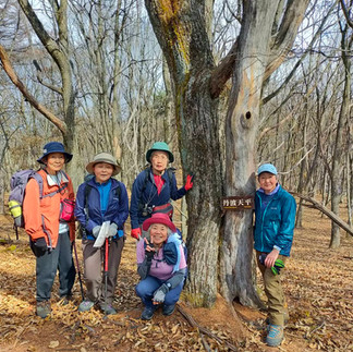 草原が広がっていて、ピークを探した丹波天平