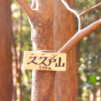 飯能100名山△538m 山名札