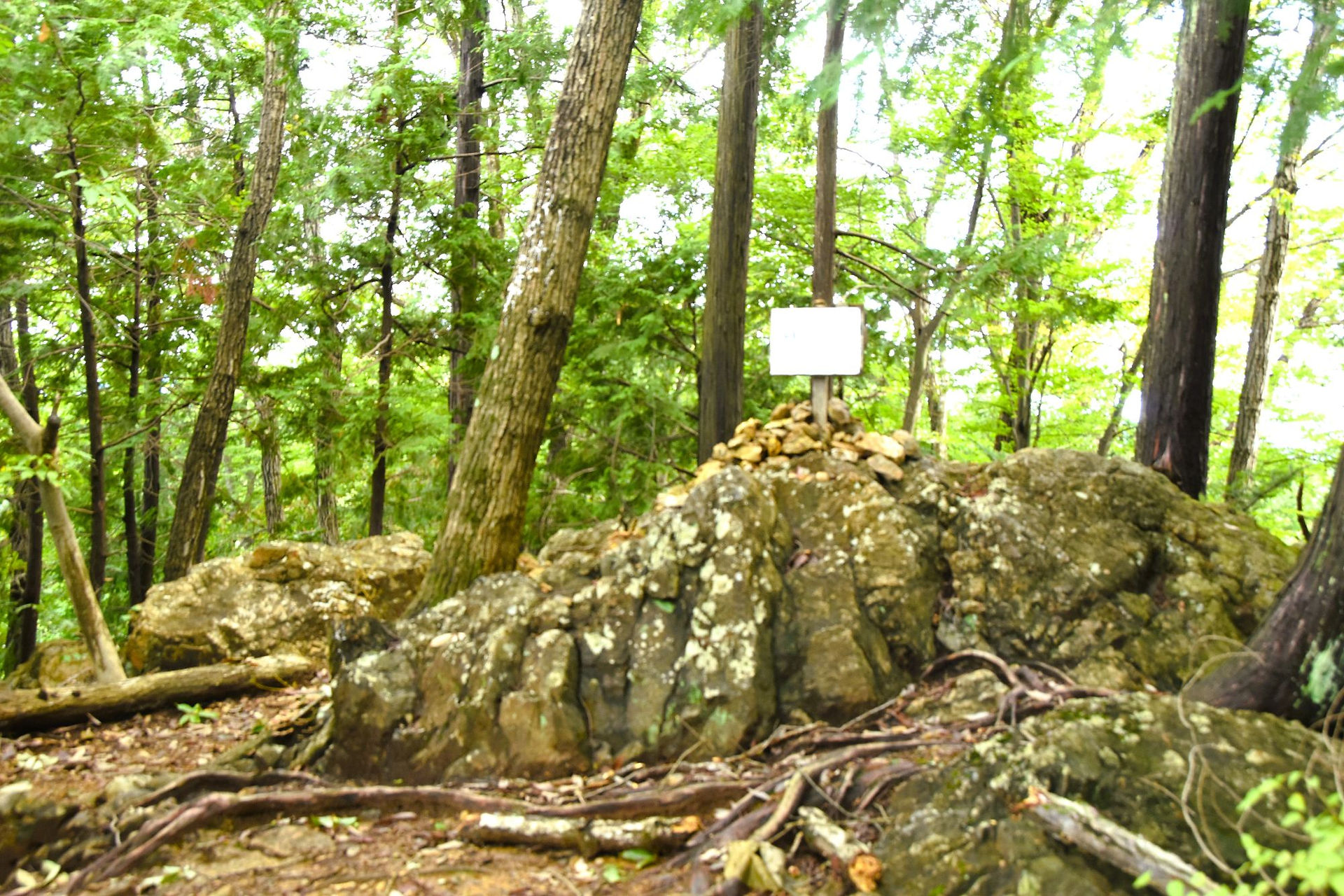 燧山△234m	尾瀬の燧岳と関係あるのかな？				