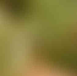 どんぐりの会入口標識	