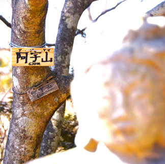 飯能100名山阿宇山△620m 山名札