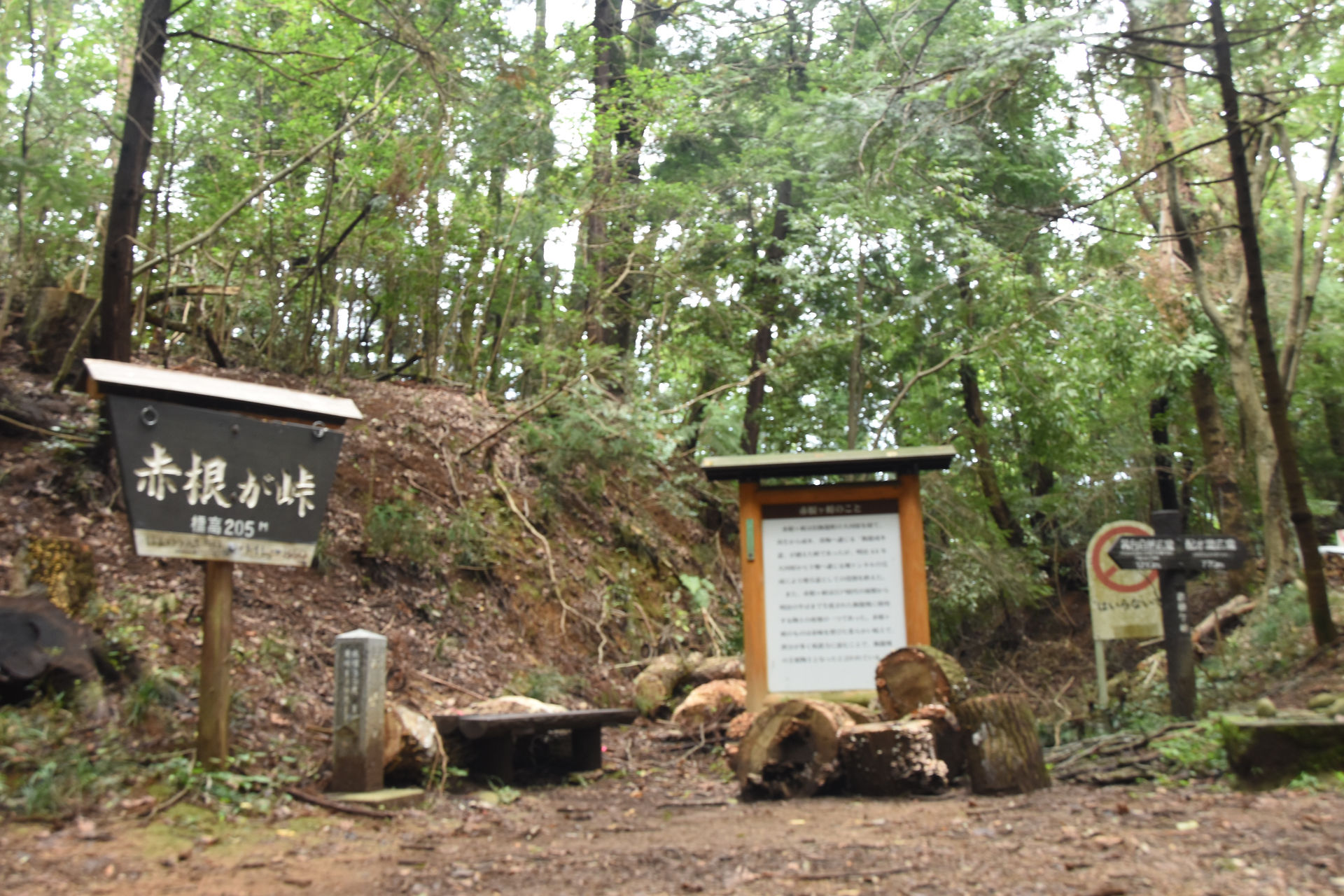 赤根峠 △205ｍ   	往時は大河原〜成木・青梅へ生活道				