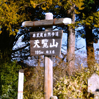 天覧山山頂△197m