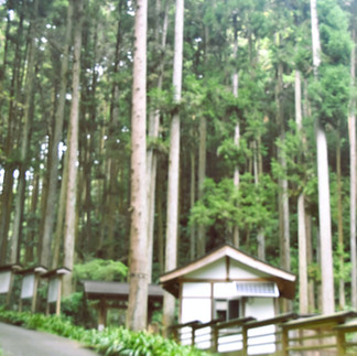 五常の滝境　五常とは儒教の仁、義，礼、智、信の五徳より