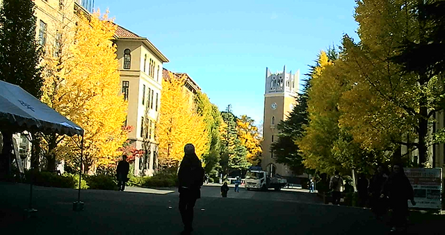 早大内の紅葉