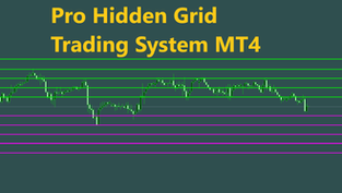 Pro Hidden Grid Trading System EA MT4