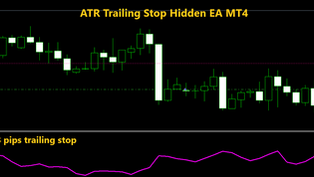 ATR Trailing Stop Hidden EA MT4