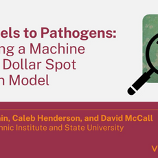 From Pixels to Pathogens: Developing a Machine Learning Dollar Spot Detection Model