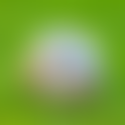 How Oregon Grass Seed Found Its Way to the World Cup