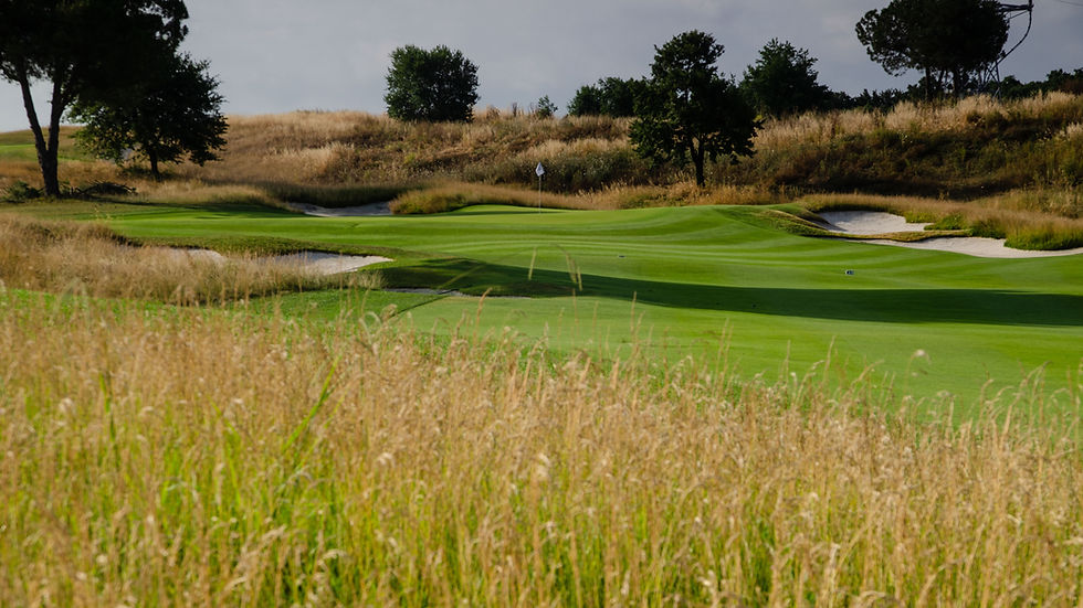 Championship Portfolio of Turfgrasses for Golf’s Biggest Competition