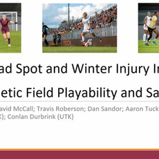 Spring Dead Spot and Winter Injury Impacts on Athletic Field Playability and Safety