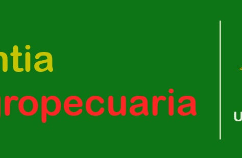 Irrigation coefficients of turfgrass (Stenotaphrum secundatum) in arid conditions, under water stress using subsurface drip irrigation 