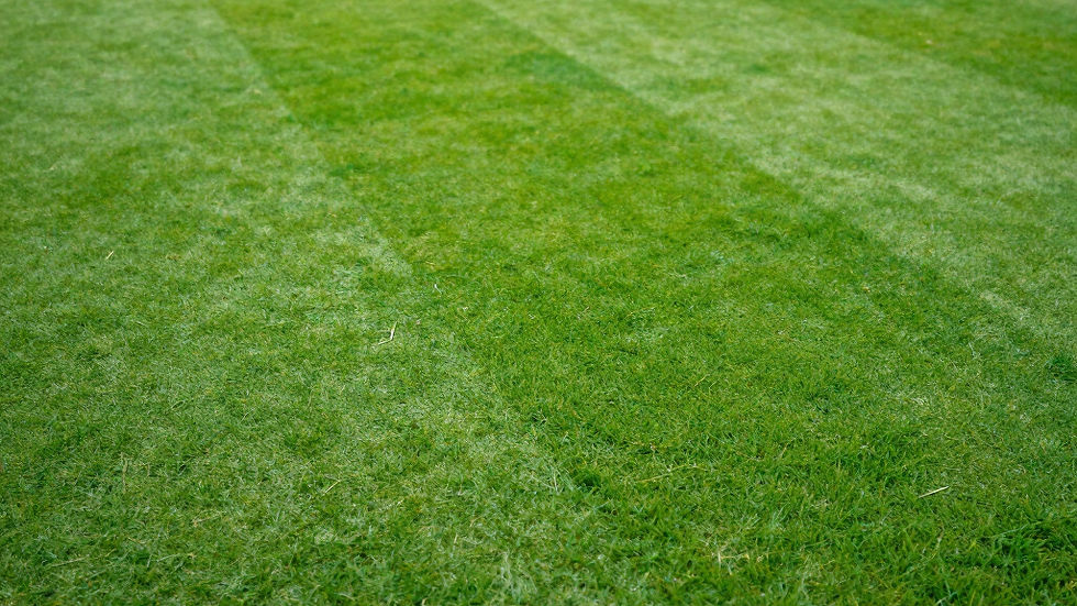 Turfgrass Professionals