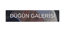 DÜĞÜN GALERİSİ.png