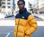 TNF_2.jpg