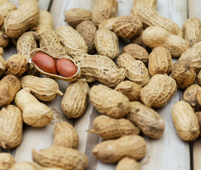 Legumes Crop Solutions