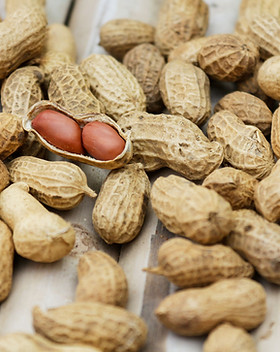 Shelled Peanuts