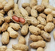 Allergy UK