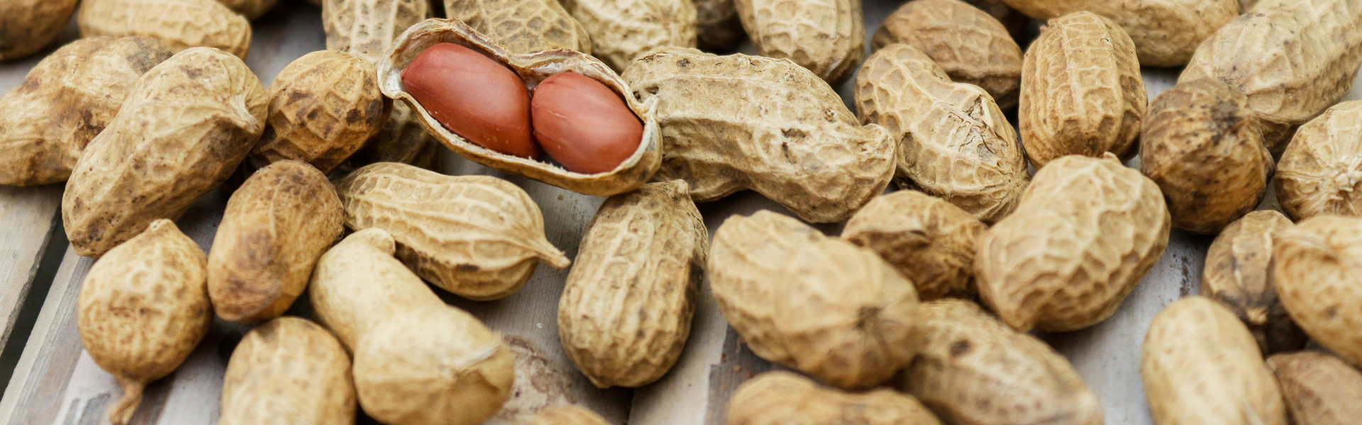Premium Shelled Peanuts