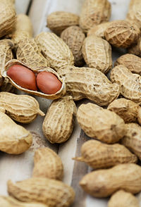 Peanut Allergy