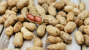 The Peanut OIT Controversy
