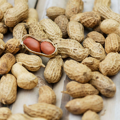 Shelled Peanuts
