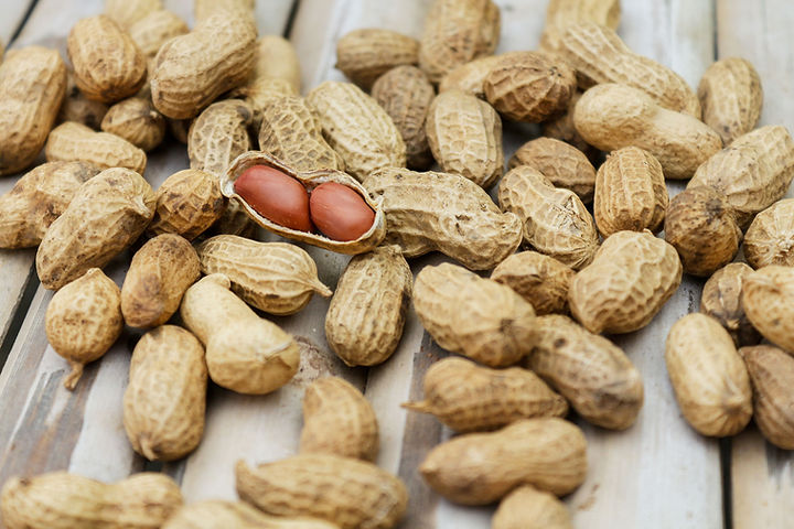 Peanut OIT