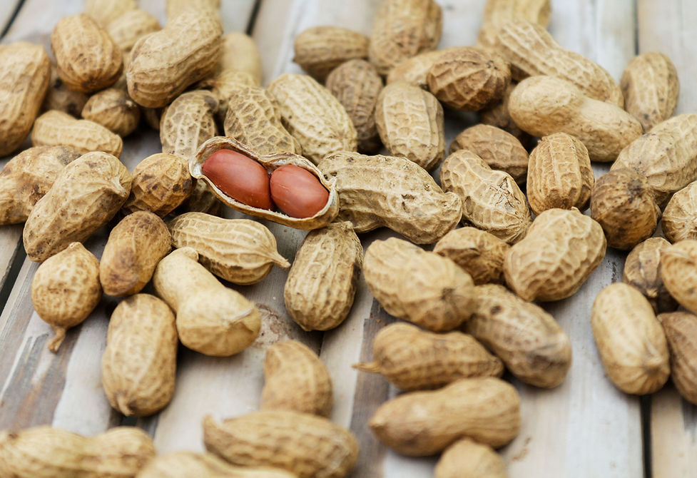 Shelled Peanuts