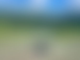 Spring Is Calling — Here Are a Few Loveland Spots to Answer