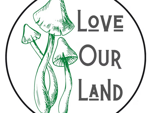 Love Our Land: Looking Back, and Looking Ahead