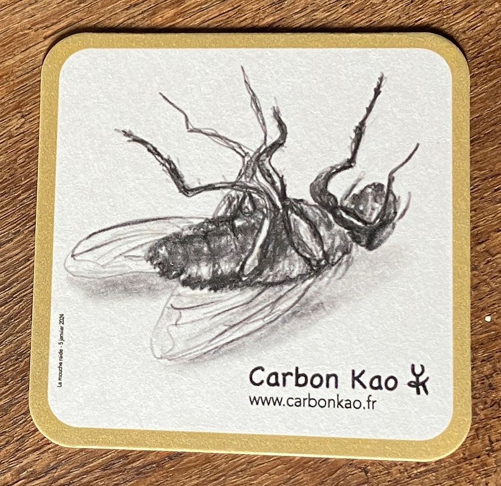Miniature : Sous-bock Mouche Raide Carbon Kao