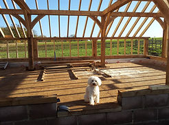 2013-11-15 11.57.57.jpg