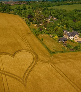 Loved by all who stay