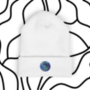 embroidered earth beanie