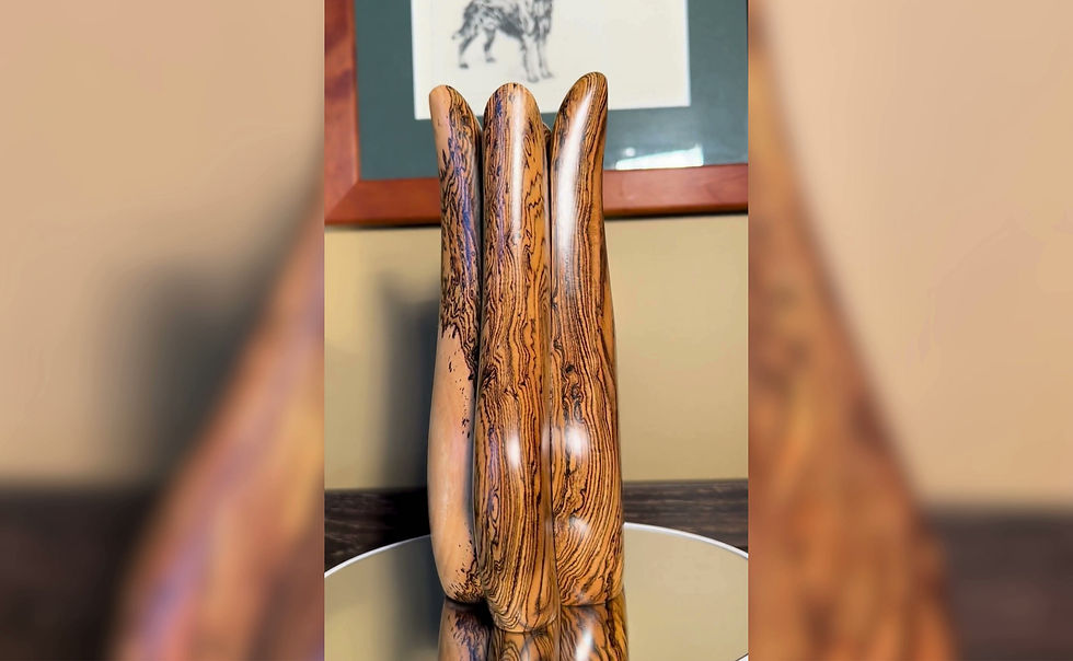 Thumbnail: Four Piece Bocote "Milkweed Pod"