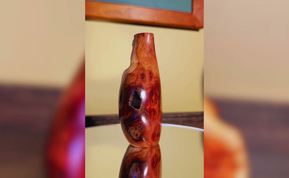 Thumbnail: Australian Mallee Burl "Milkweed Pod"