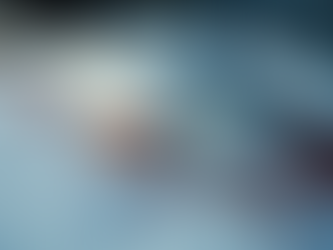 Why Freshness Matters in Seafood Dining