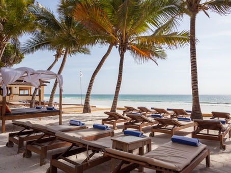 Visit Diani Beach on a Budget | How to Experience Diani without Breaking the Bank