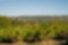 A7304809-HDR.jpg