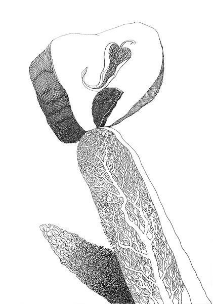LOT B- SYMBOLIC SERIES 2.jpg