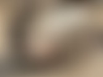 Schweine (Bella, Mathilda & Helmut)