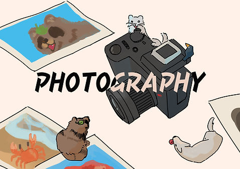 POHTOGRAPHY.jpg
