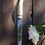 Miniatura: CUCHILLO DAMA