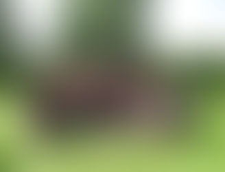 Pique nique de clôture de saison au parc des Gayeulles à Rennes