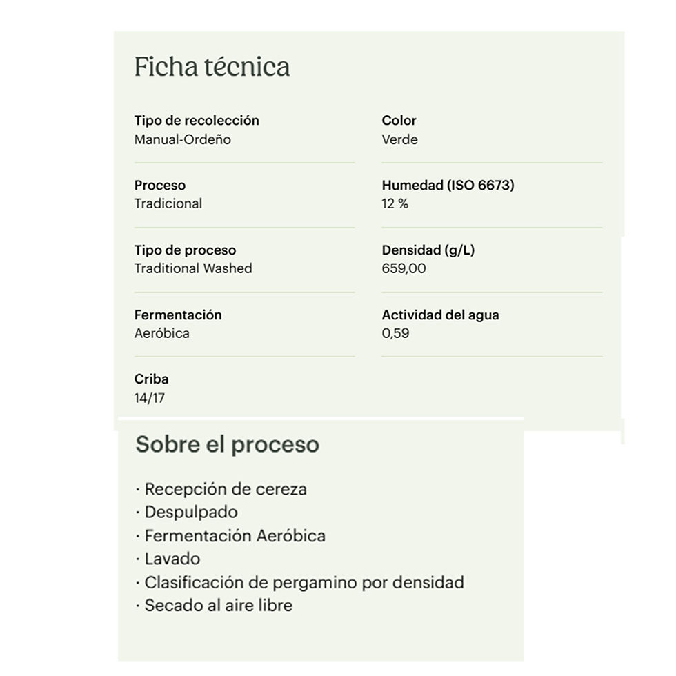 Miniatura: Café en Grano Tostado de Especialidad. Origen Único Etiopía Sidamo