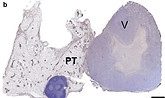 Screenshot 2025-07-24 103029.jpg