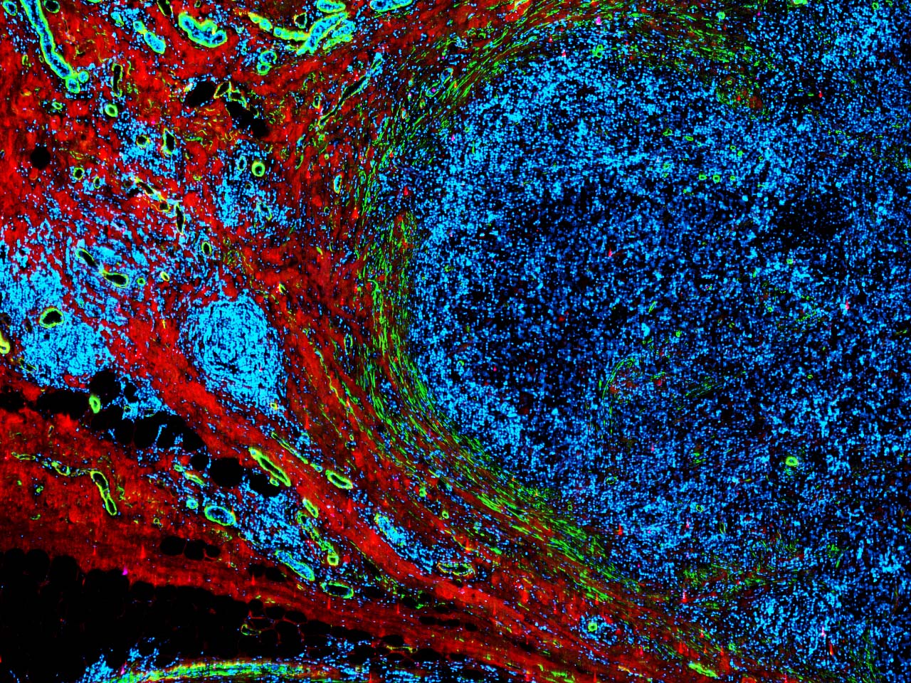 Research munsonlabatVT